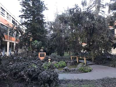 Volcanic ash covers grounds of Christ the King Seminary